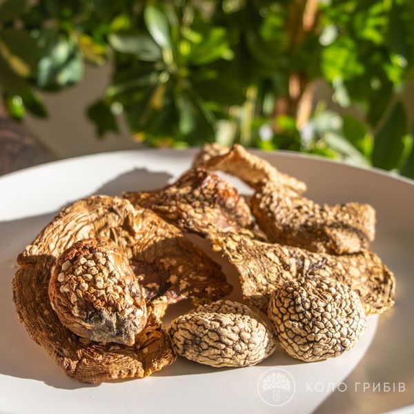 Amanita regalis with caps for microdosing 111001119 photo