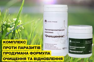 Комплекс проти паразитів від Коло Грибів: як працює формула очищення та відновлення фото