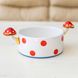 Deep plate fly agaric 911001121 photo 1