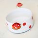 Deep plate fly agaric 911001121 photo 2