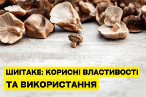 Shiitake: Benefits and Uses photo