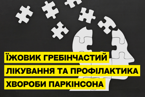 Ежовик гребенчатый и его влияние на болезнь Паркинсона: научные доказательства фото