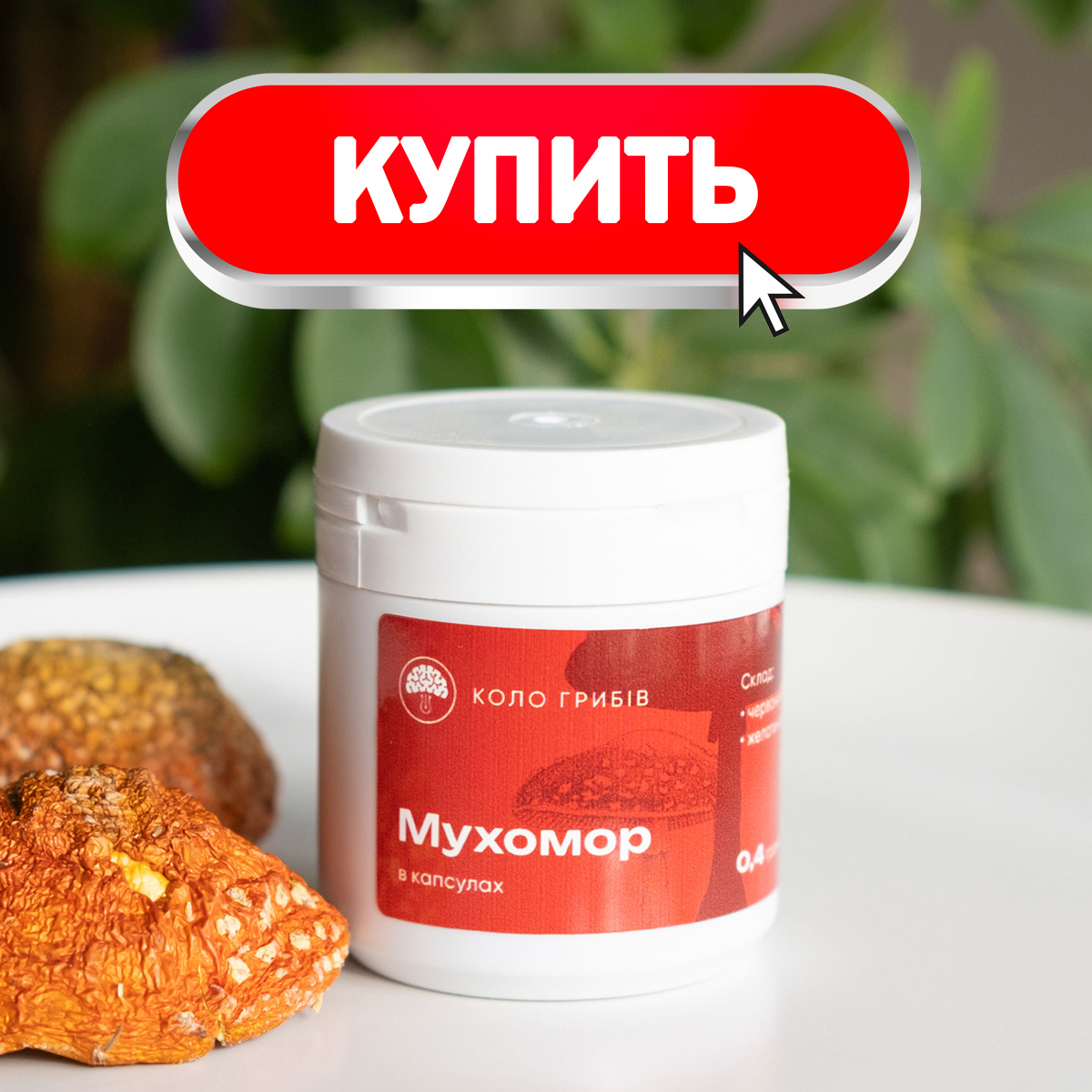 Купить мухомор