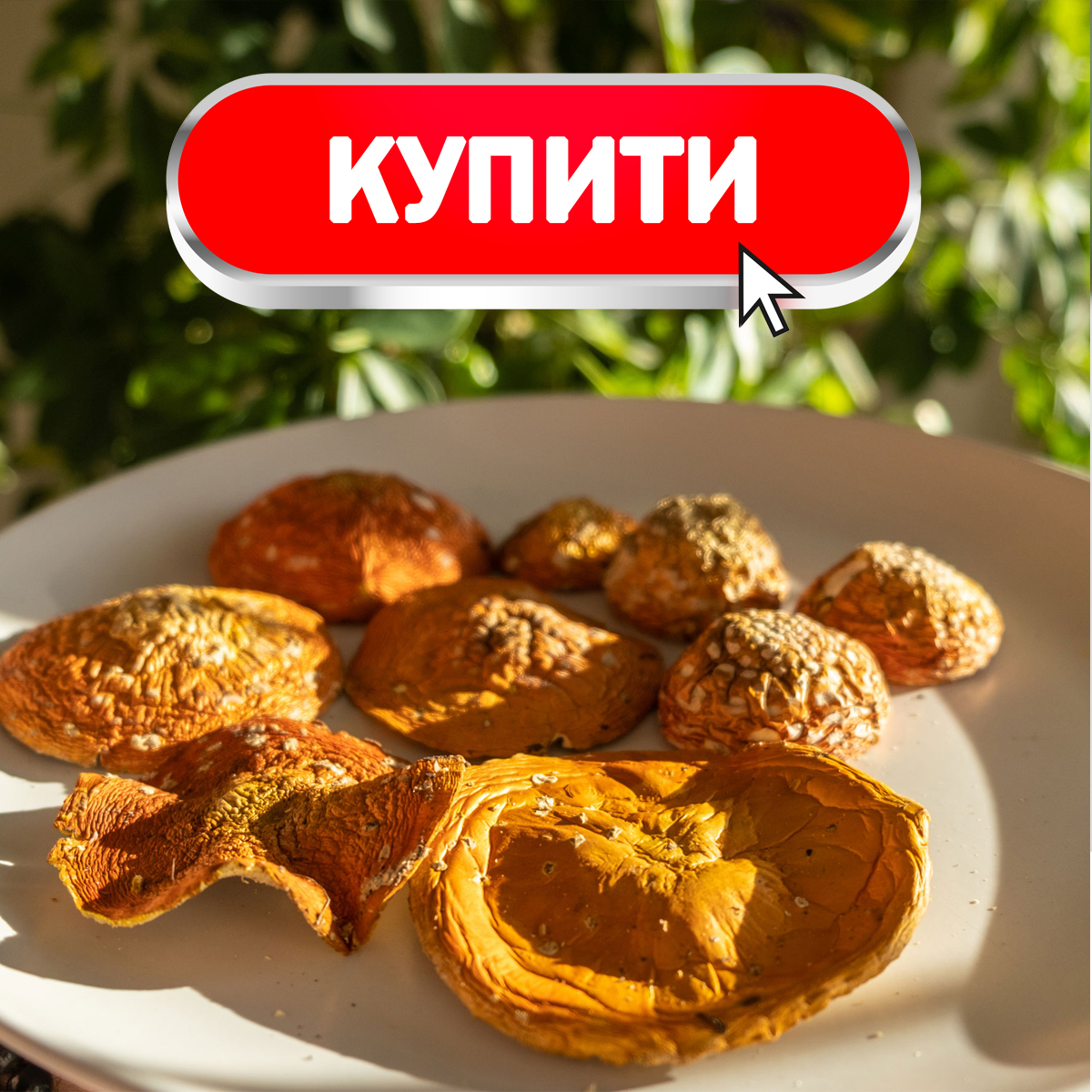 Купити мухомор