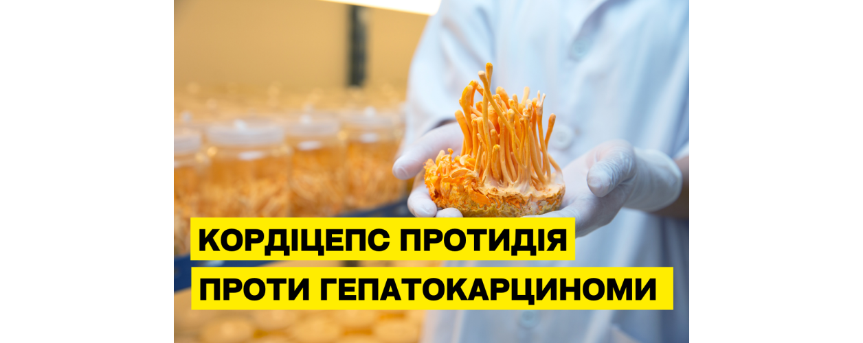 Cordyceps militaris: протипухлинна дія при гепатиті С та гепатокарциномі