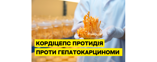 Cordyceps militaris: протипухлинна дія при гепатиті С та гепатокарциномі