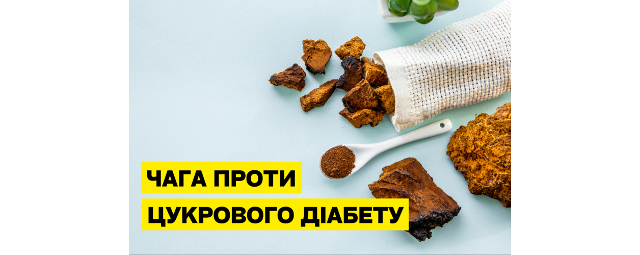 Вплив екстракту чаги на рівень глюкози та роботу β-клітин