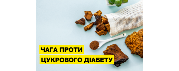 Вплив екстракту чаги на рівень глюкози та роботу β-клітин