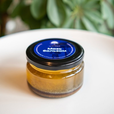 Balm-salve with medicinal mushrooms according to an original recipe