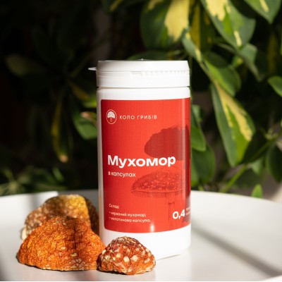 Fly agaric in capsules