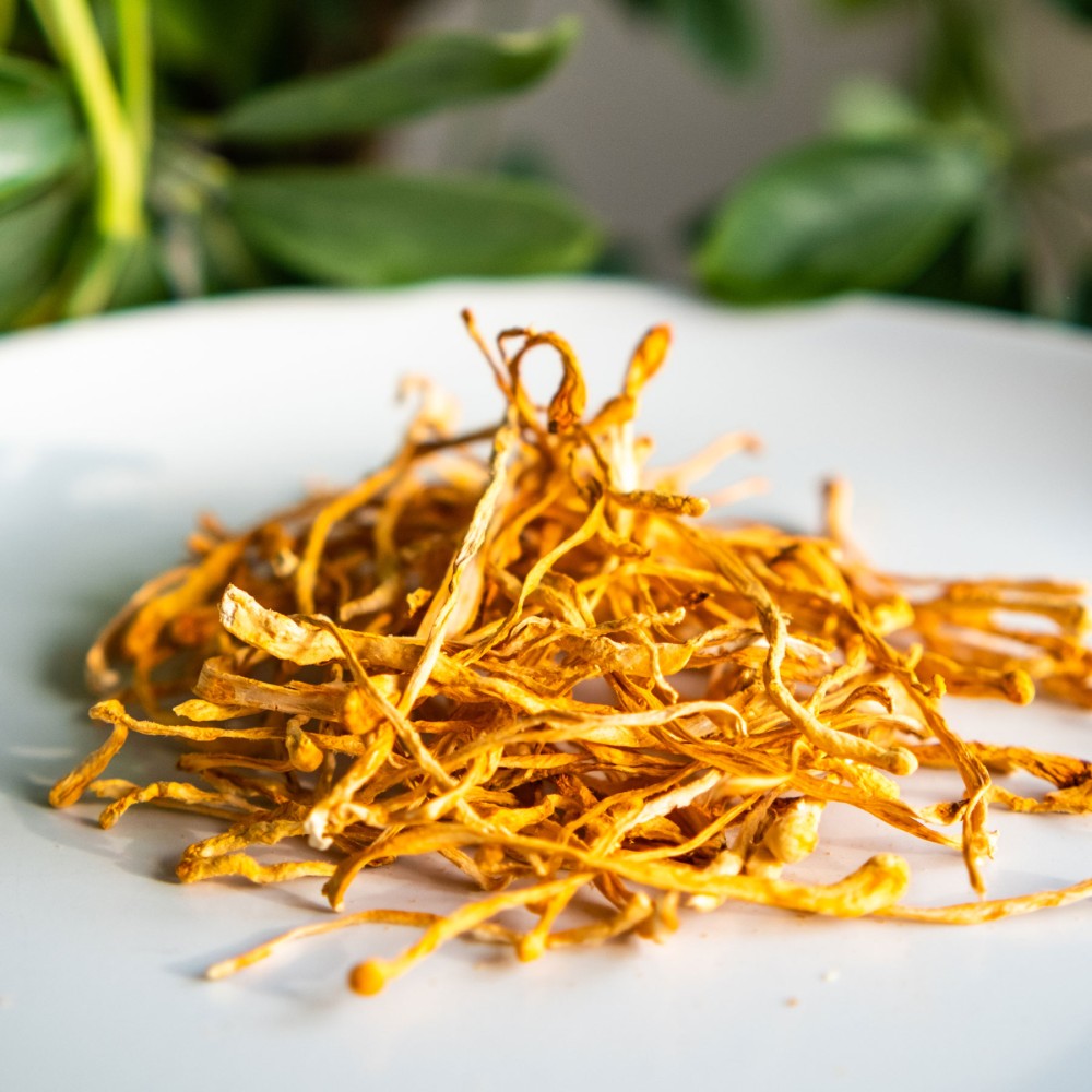 Кордицепс мілітаріс (Cordyceps militaris) цілий
