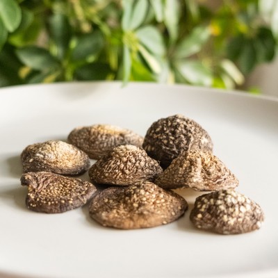 Panther fly agaric caps for microdosing