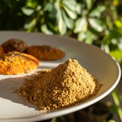 Red fly agaric powder
