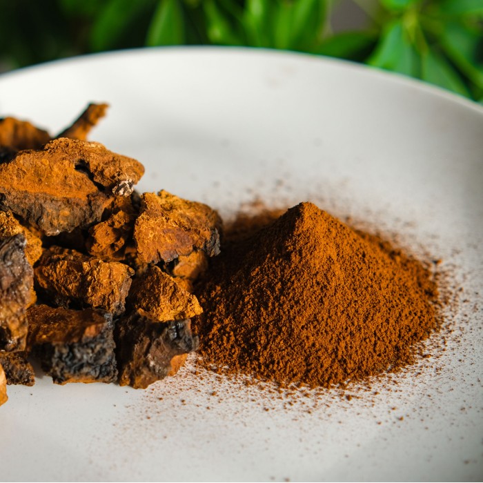 Inonotus obliquus for microdosing