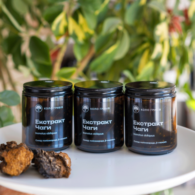 Extract of Chaga caps, full 3-month course