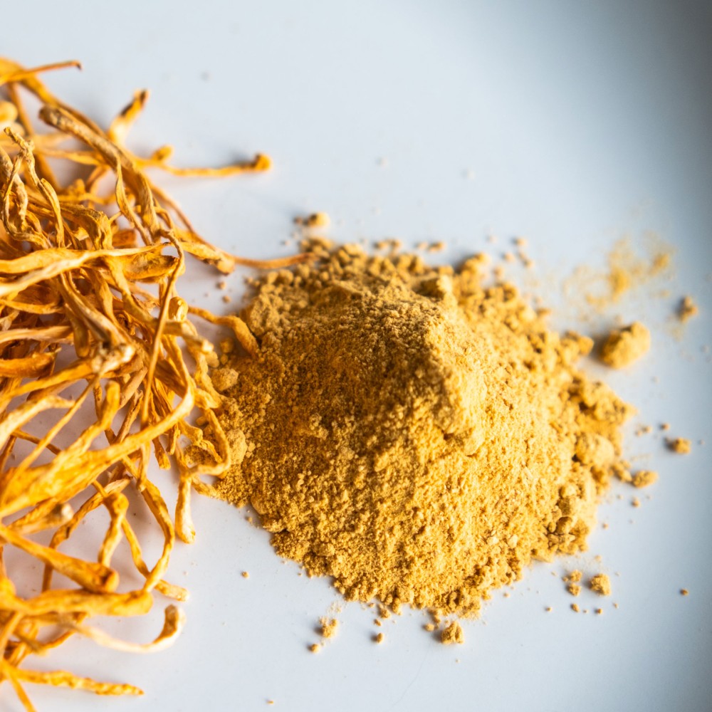 Кордицепс милитарис порошок (Cordyceps militaris)