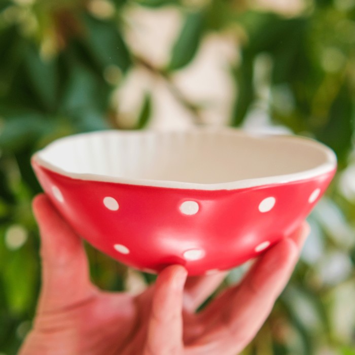 Decorative plate Amanita muscaria