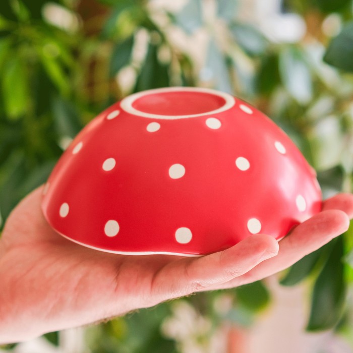 Decorative plate Amanita muscaria