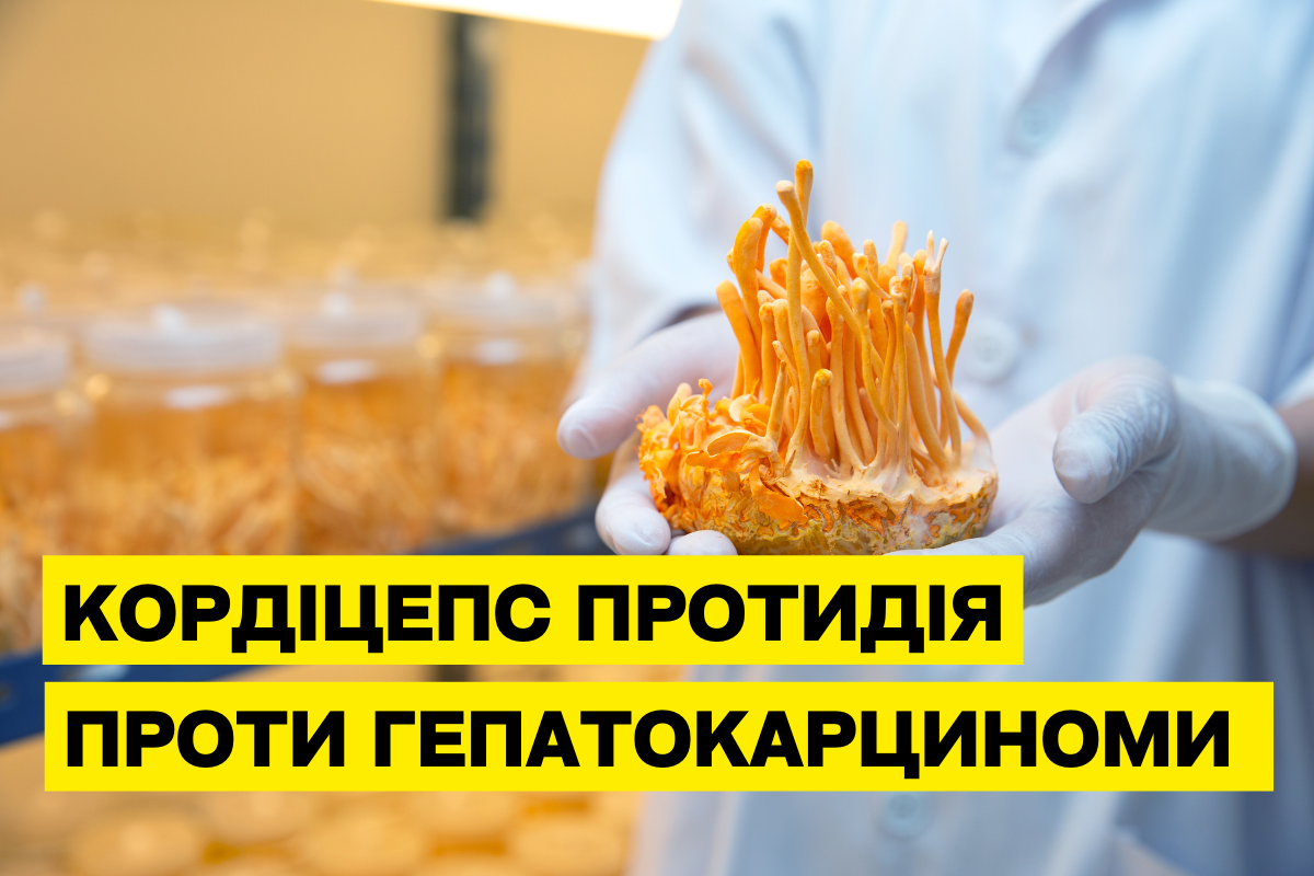 Cordyceps militaris: протипухлинна дія при гепатиті С та гепатокарциномі