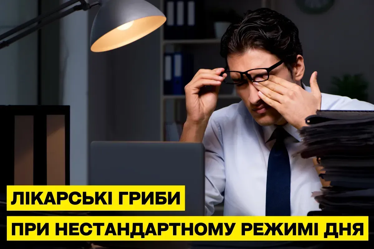 Приём грибов при нестандартном режиме: как учитывать сон и активность
