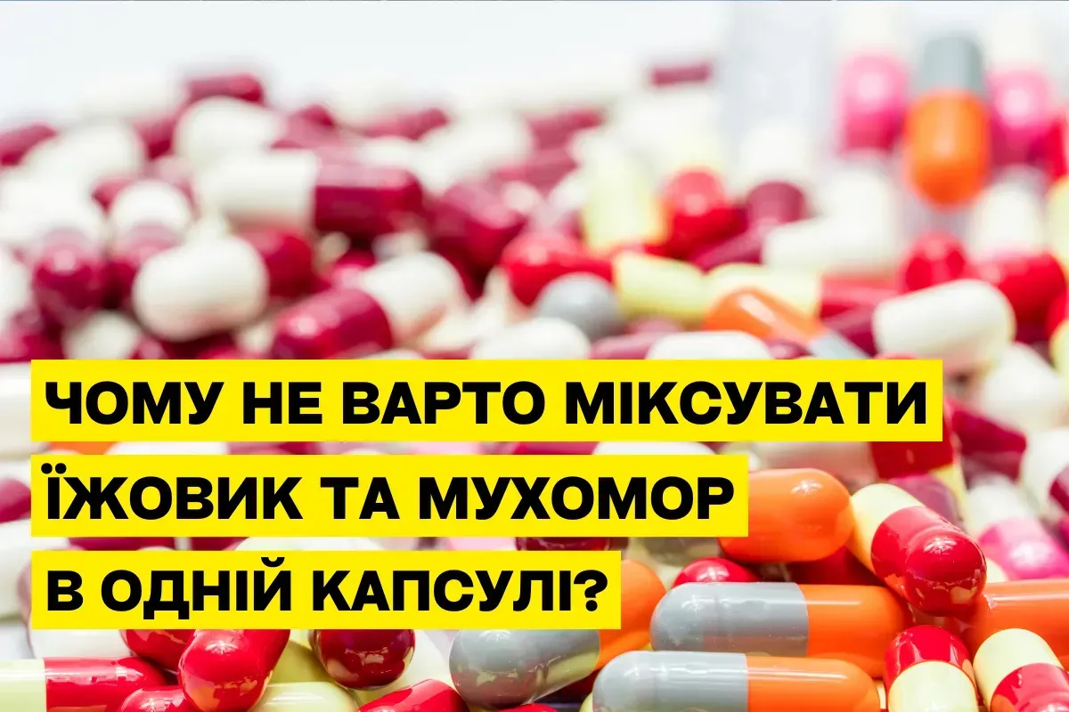 Почему нельзя миксовать мухомор и ежовик в одной капсуле: 3 главные причины