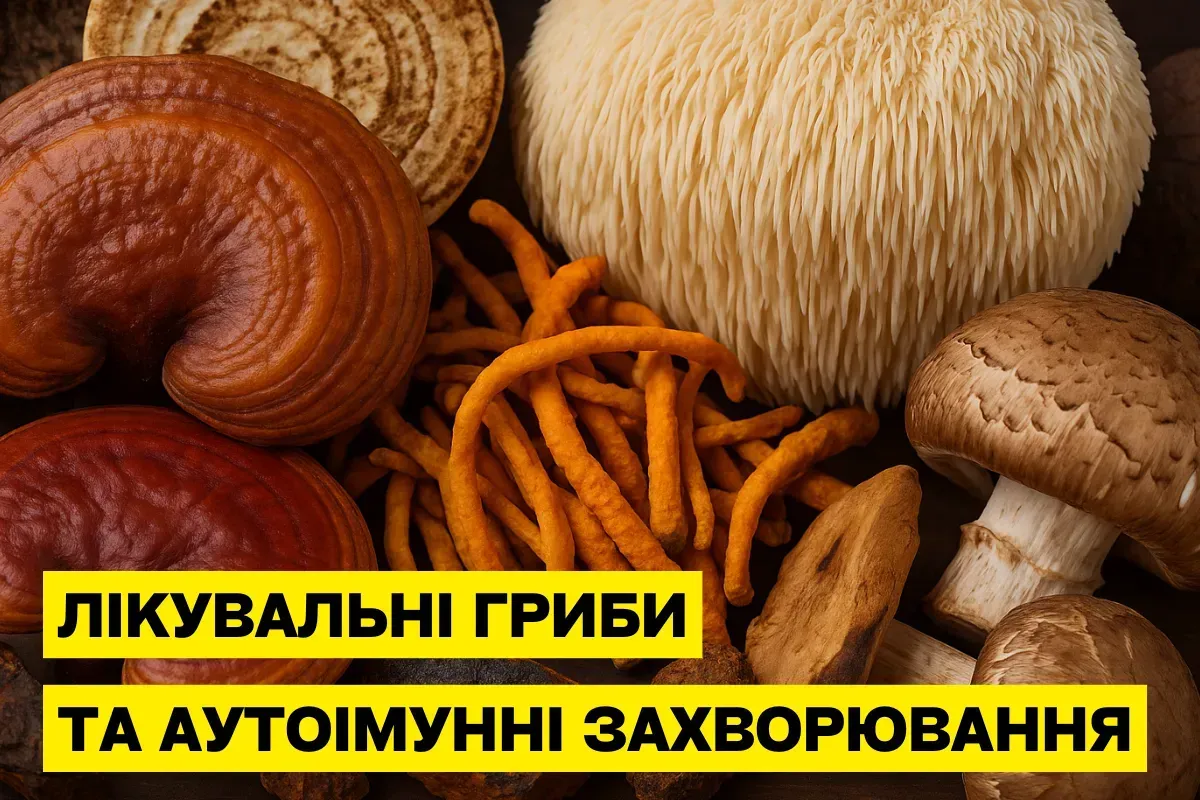Безопасно ли принимать лекарственные грибы при аутоиммунных заболеваниях?