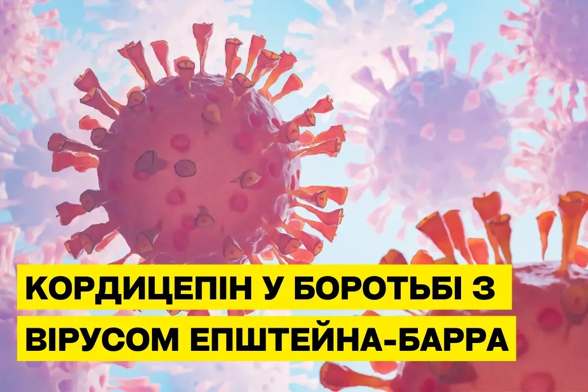Кордицепин в борьбе с вирусом Эпштейна-Барра: новый прорыв в борьбе с вирусом герпеса