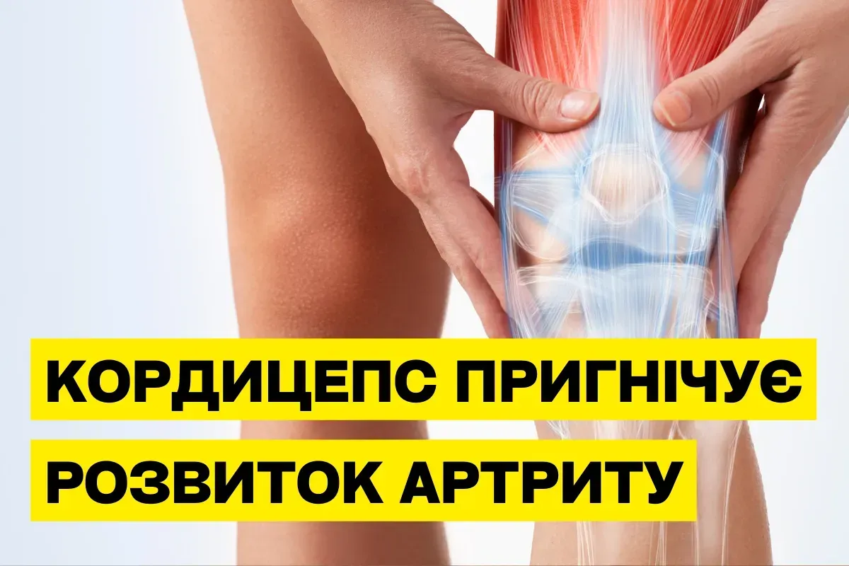 Кордицепс та артрит: наукові дослідження протизапальної дії гриба