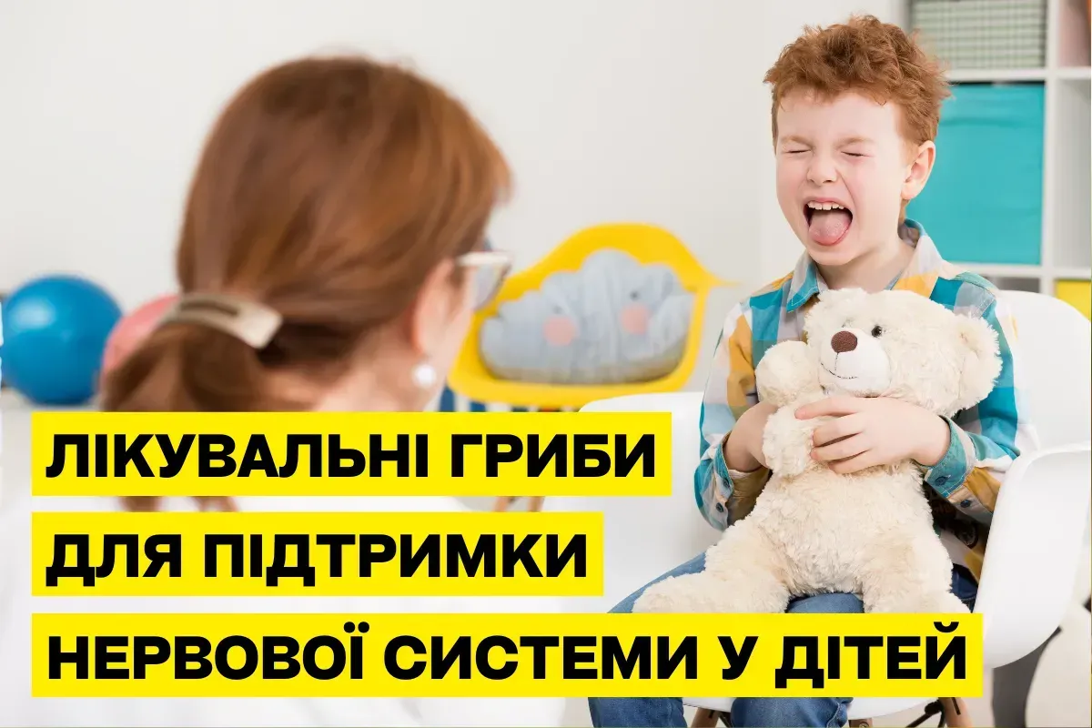 Лечебные грибы в поддержке нервной системы детей