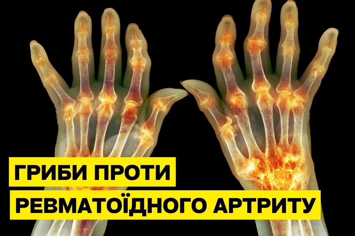 Лечебные грибы против ревматоидного артрита: природная поддержка суставов