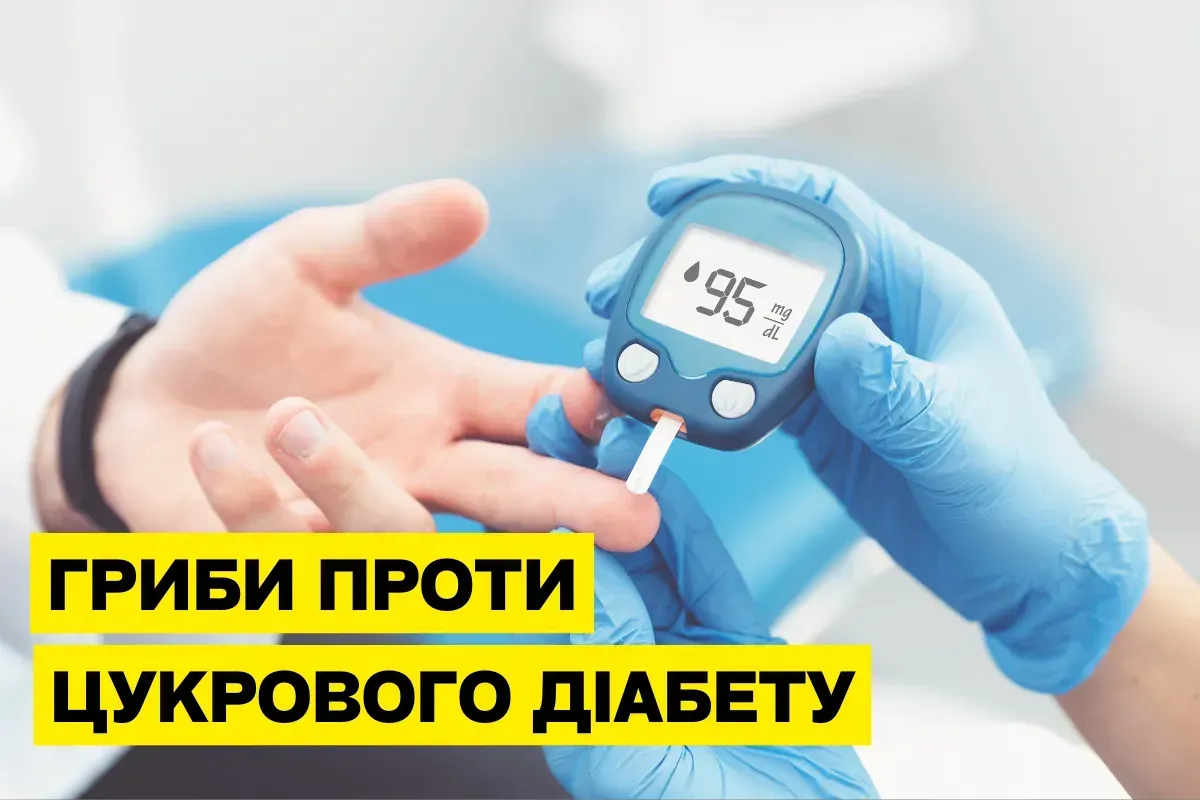 Лечебные грибы при сахарном диабете: исследования и польза