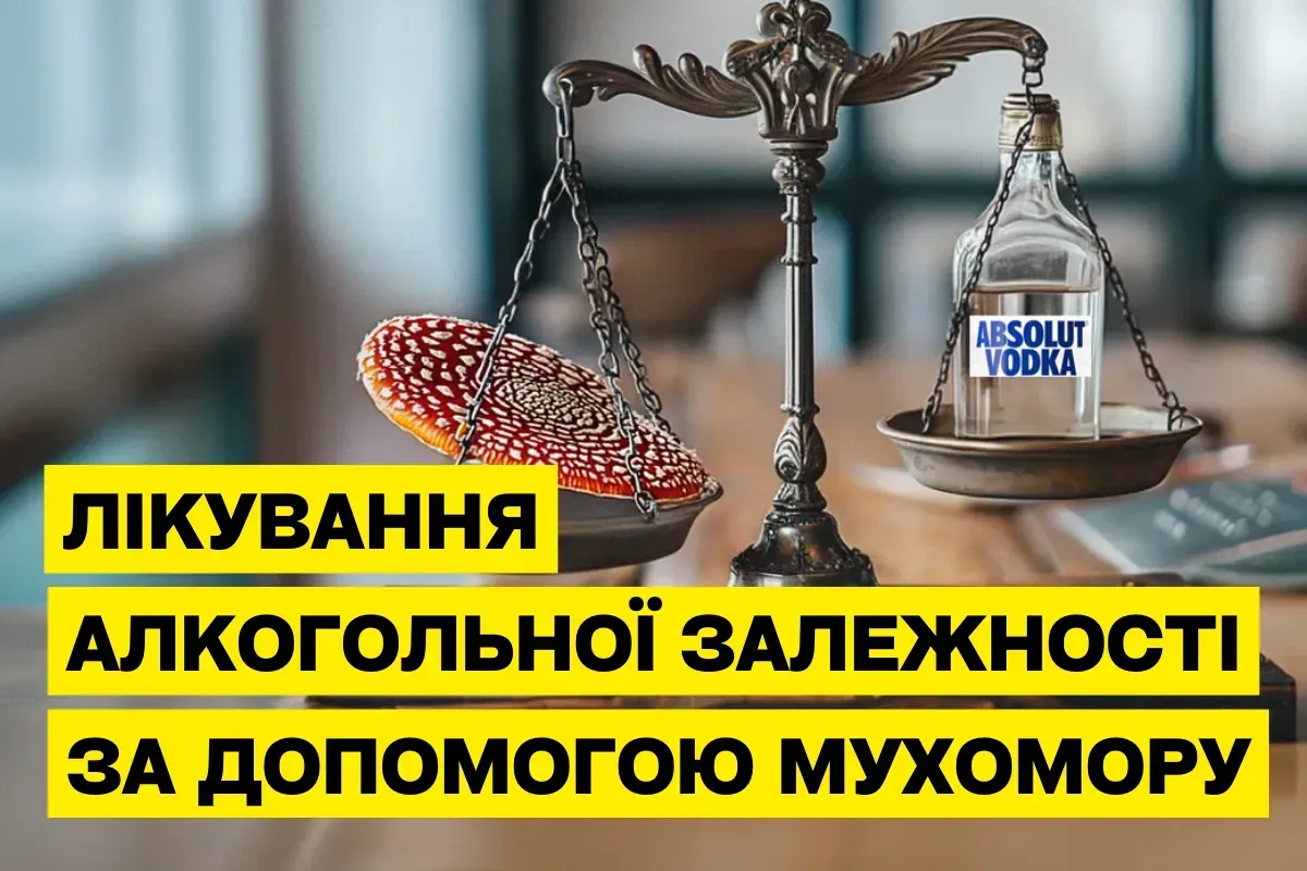 Мусцимол из мухомора: природная поддержка при лечении алкогольной зависимости