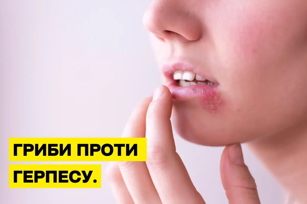 Рейши и Шиитаке против герпеса: природное лечение и поддержка иммунитета