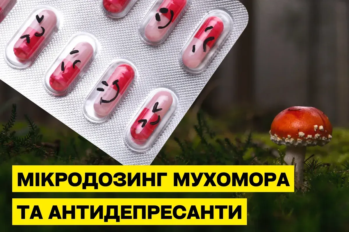 Микродозинг мухомора и антидепрессанты: совместимы ли они безопасно?