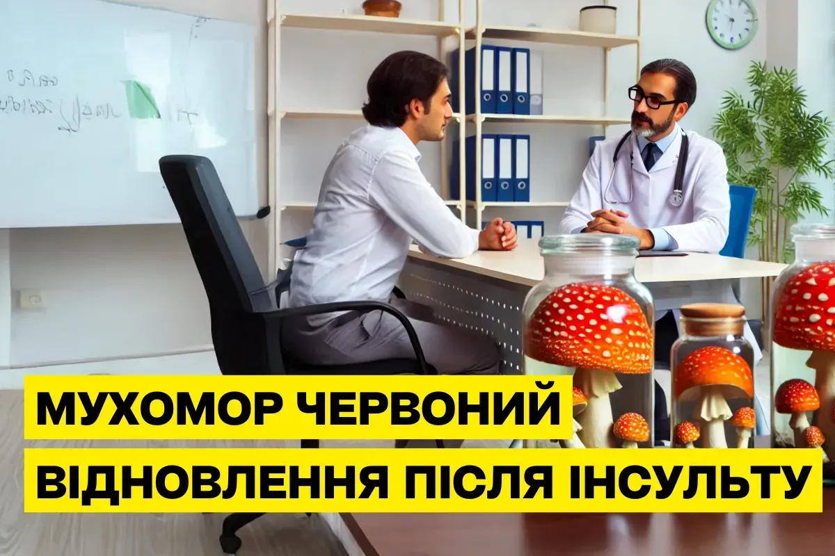 Как мухомор красный помогает в восстановлении после инсульта: научные факты и опыт