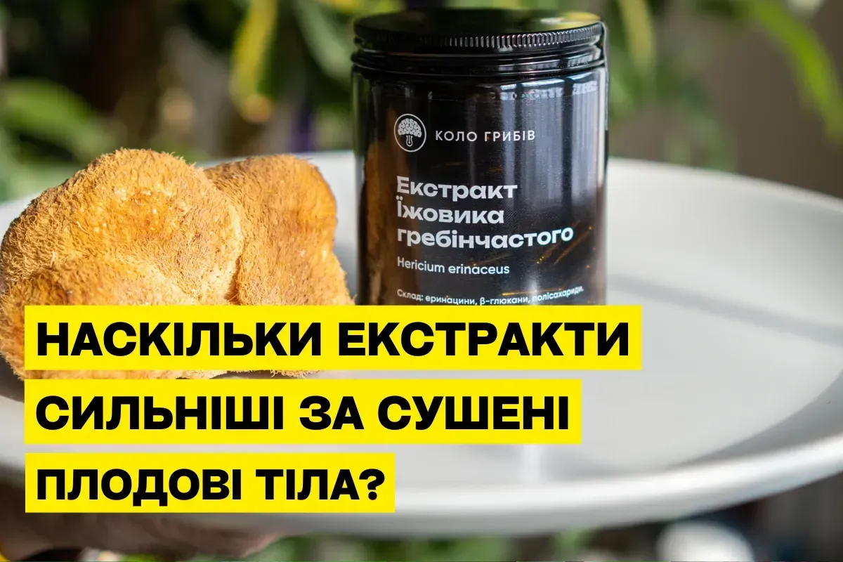 Насколько экстракты сильнее сушёных плодовых тел?