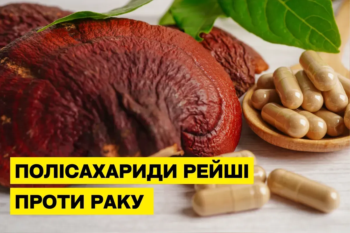 Полісахариди Рейші: природна підтримка при онкології