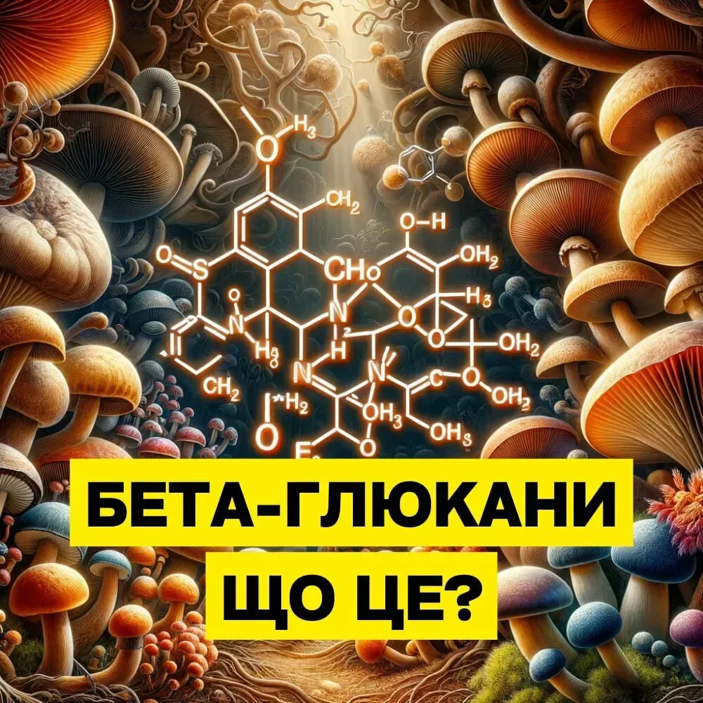 Що таке бета-глюкани?