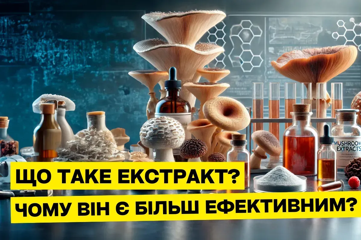 Экстракт грибов: что это и почему он эффективнее сушёных грибов