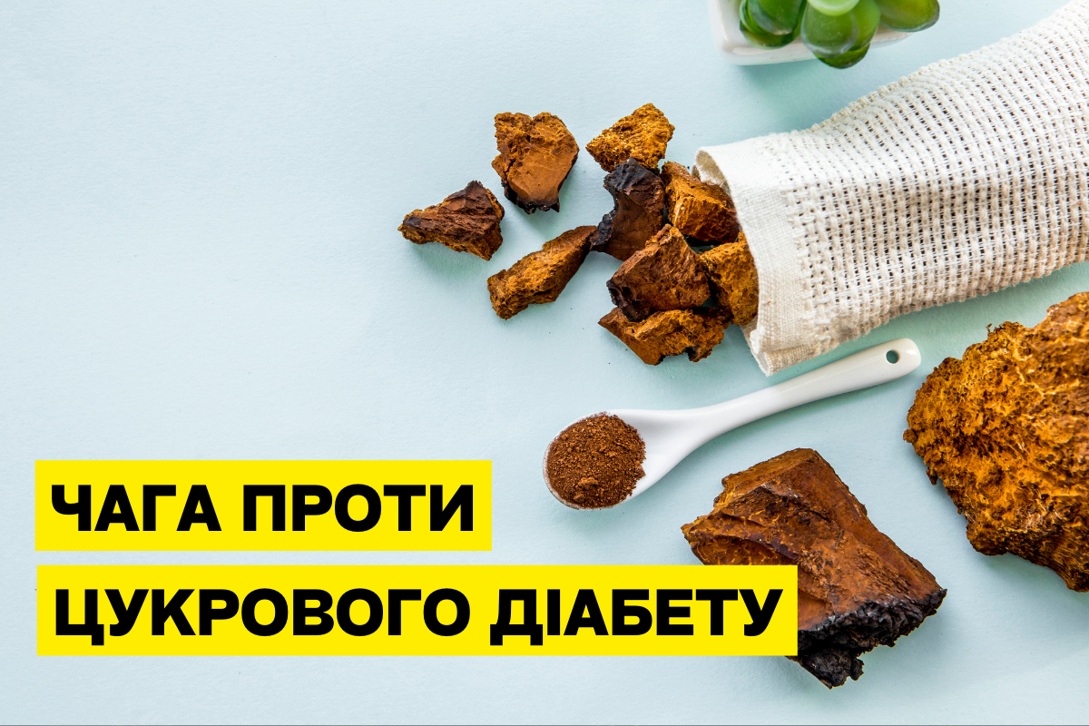 Вплив екстракту чаги на рівень глюкози та роботу β-клітин