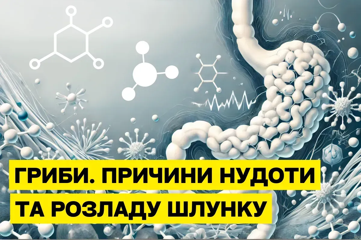 Влияние хитина на организм человека: польза и возможные риски