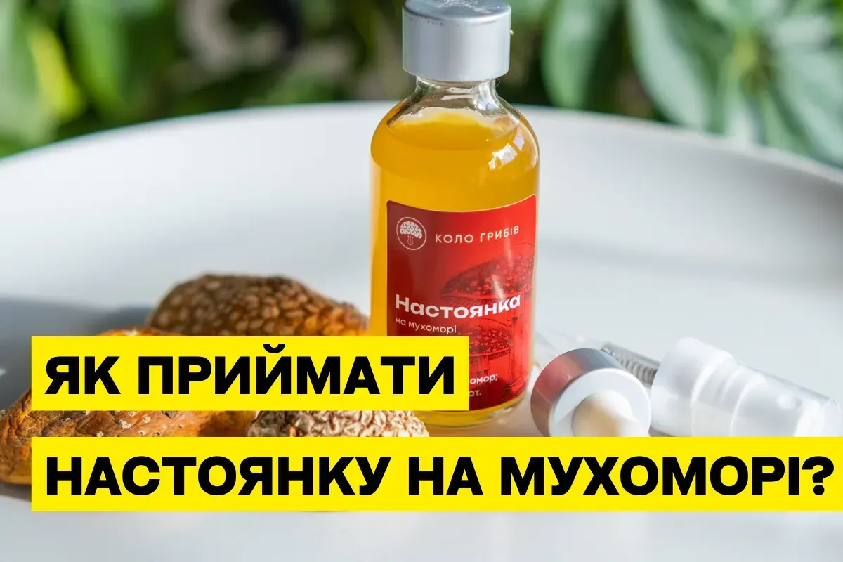 Як правильно приймати настоянку мухомора (Amanita muscaria): безпечно, по краплях, за схемою