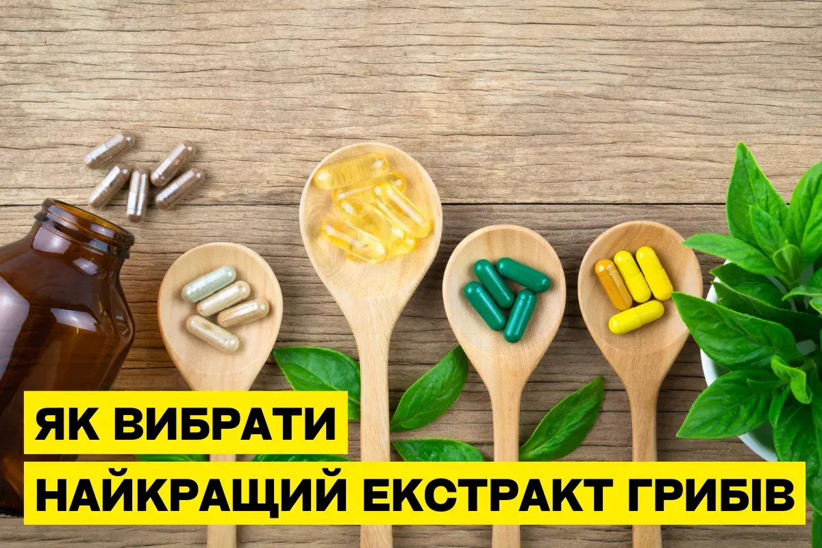 Как выбрать лучший экстракт грибов?