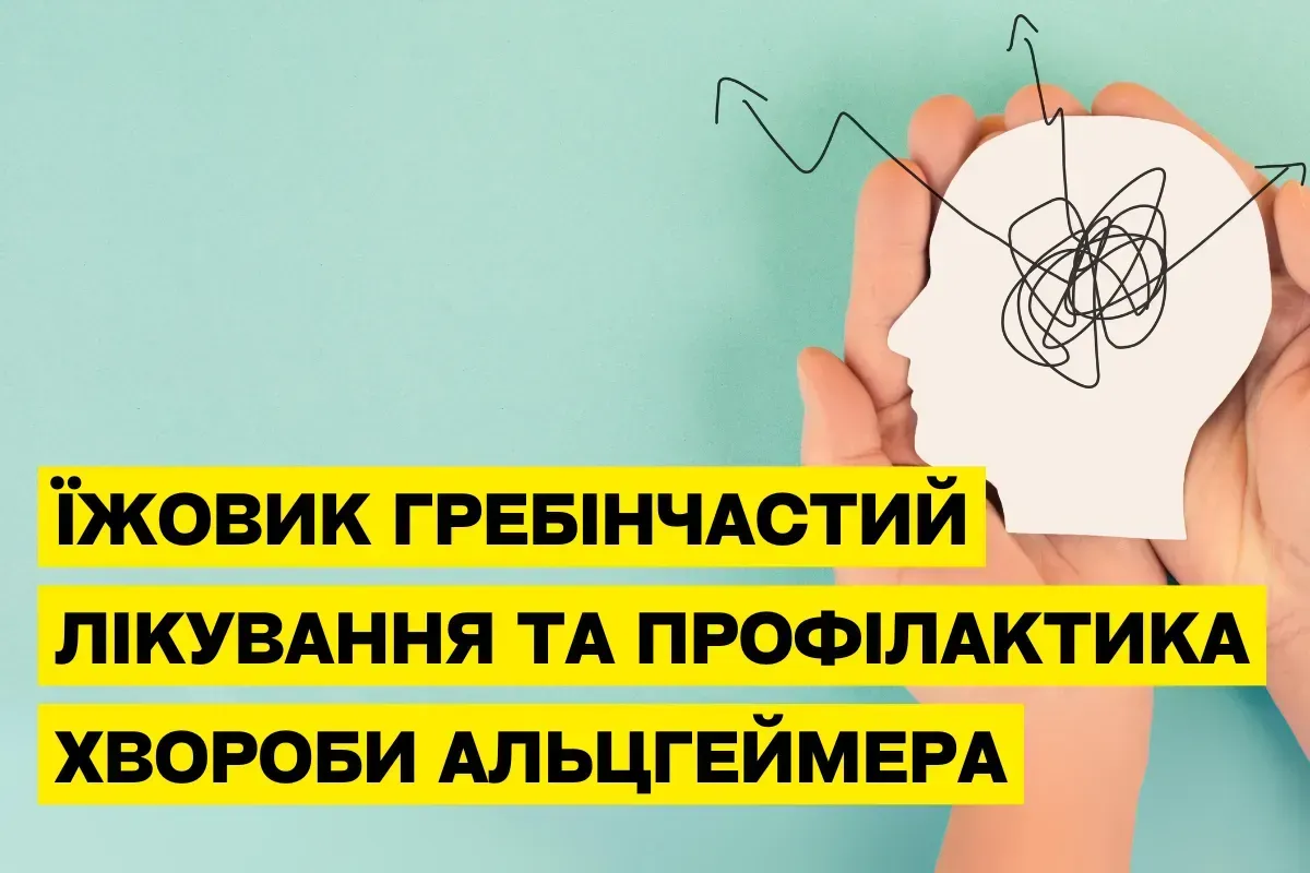 Ежовик гребенчатый: природная поддержка и профилактика болезни Альцгеймера