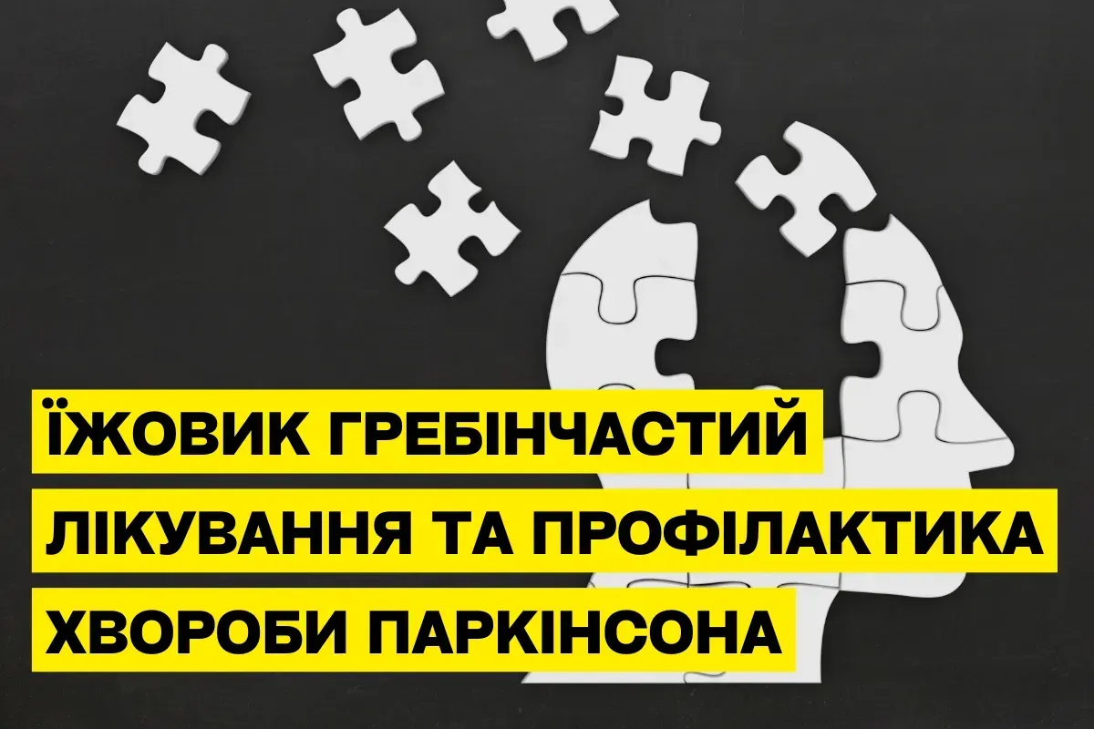 Ежовик гребенчатый (Hericium erinaceus) и болезнь Паркинсона: научные исследования и нейропротекторные свойства