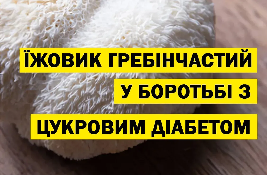 Як їжовик гребінчастий допомагає при діабеті 2 типу: наукове пояснення